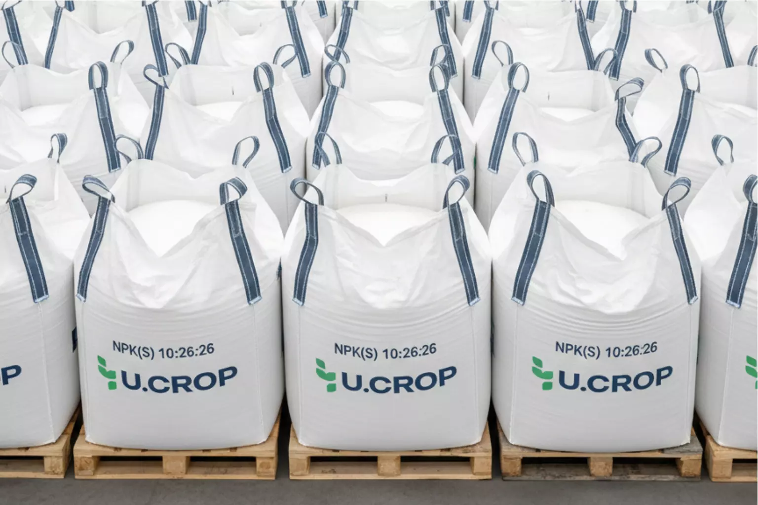 Диаммофоска NPK(S) 10:26:26