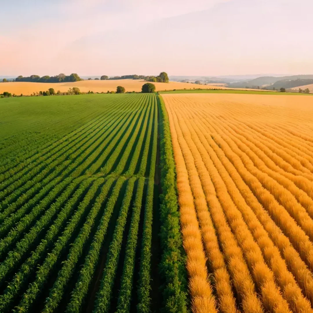 AnyConv.com__564864 (1)